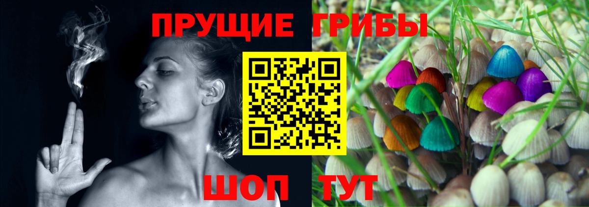 Галлюциногенные грибы Psilocybe Белово