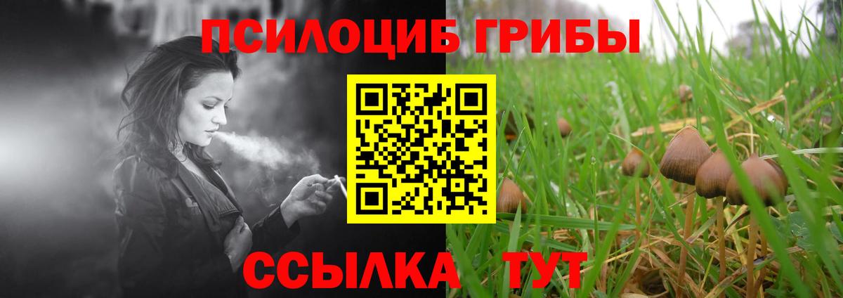 Галлюциногенные грибы Cubensis  Галлюциногенные грибы GOLDEN TEACHER  Белово  купить наркоту  Вход с VPN 